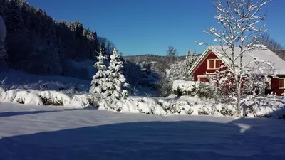 L'établissement LE BOIS JOLI Chalet 4 étoiles CLEDICIHOME Cadre paisible en lisière de forêt en hiver