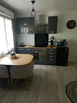 Cuisine ou kitchenette dans l'établissement Appartement cosy calme à l'orée du bois