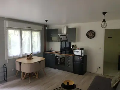 Cuisine ou kitchenette dans l'établissement Appartement cosy calme à l'orée du bois