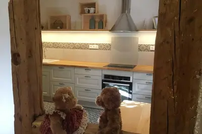 Cuisine ou kitchenette dans l'établissement La Maison du Rempart