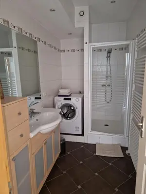 Salle de bains dans l'établissement Cosy Appartement Complet centre-ville Montbéliard