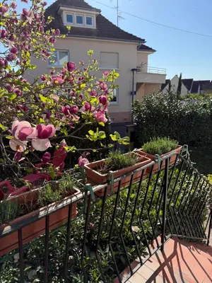 Jardin de l'établissement Villa Schmitt