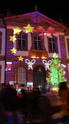 Plan de l'établissement LE ST JOSSE GITE TOUT CONFORT A COLMAR