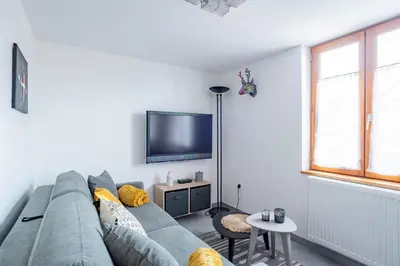 Télévision ou salle de divertissement dans l'établissement Cochylis, À l'Orée des Vignes, Gîte classé 3 étoiles au centre de la Route des vins d'Alsace