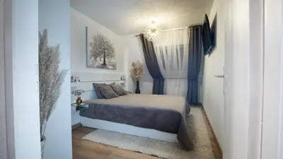 Un ou plusieurs lits dans un hébergement de l'établissement Superbe appartement au coeur du Colmar