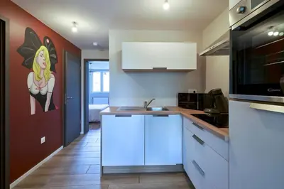 Cuisine ou kitchenette dans l'établissement L'ALSACIEN Centre Ville 2 chambres et Terrasse