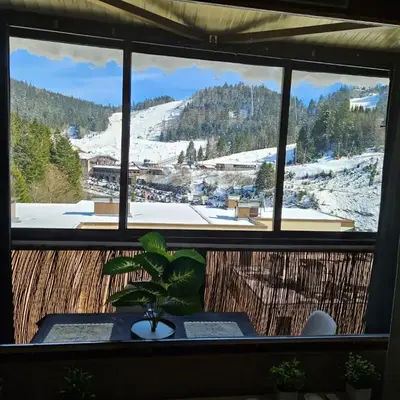 Appartement Vue sur les pistes de ski et en bas de la station