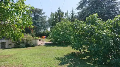 Jardin de l'établissement Le Point central - Terrasse - Proche de Colmar