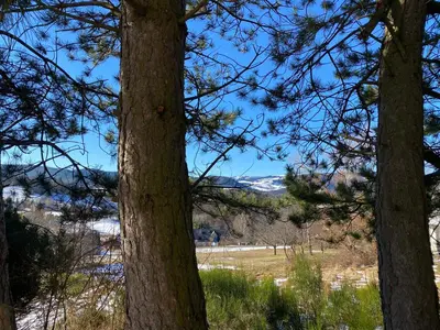 Paysage naturel près de l'appartement