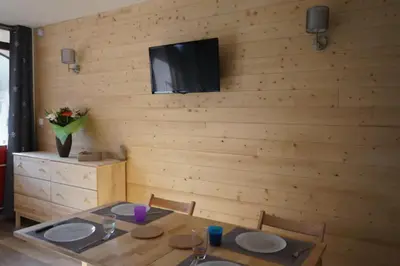 Télévision ou salle de divertissement dans l'établissement Studio au pied des pistes à la Bresse Hohneck