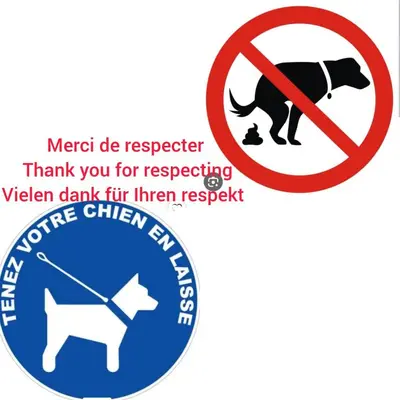 Animal ou animaux domestique(s) séjournant avec des clients dans l'établissement Le Noyer: Petit chalet cosy proche de Mulhouse