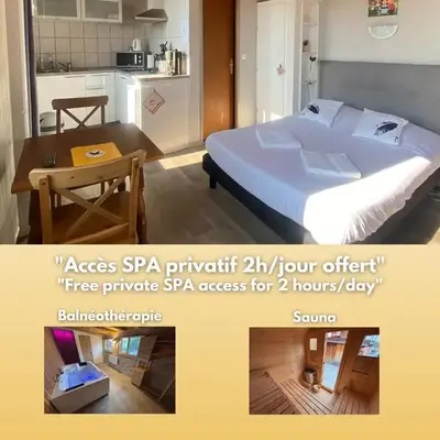 PINOT GRIS - Charmant studio au cœur du vignoble - parking gratuit
