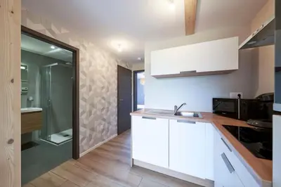 Cuisine ou kitchenette dans l'établissement Le SCANDINAVE Centre Ville/2 chambres + Terrasse