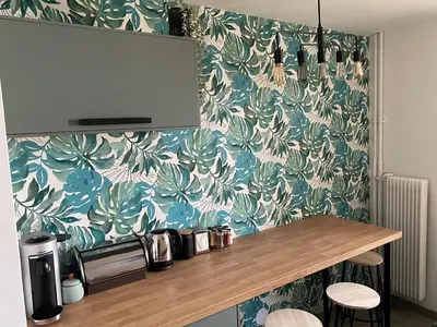 Cuisine ou kitchenette dans l'établissement Magnifique appartement au coeur de Mulhouse