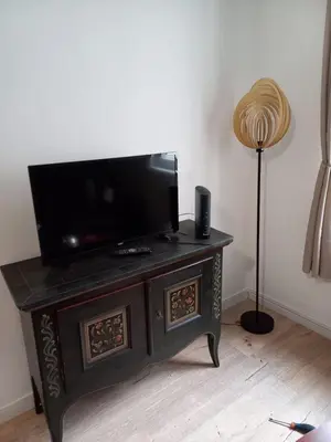 Télévision ou salle de divertissement dans l'établissement LE PASSAGE gîte cocooning à Colmar centre touristique
