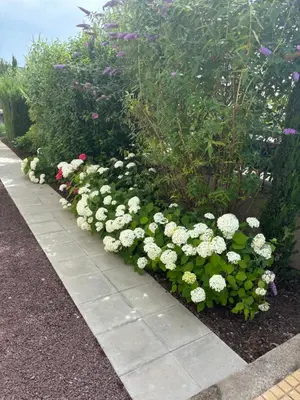 Jardin de l'établissement Appartement de Prestige au centre climatisé avec jardin privé