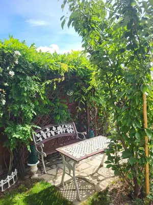 Jardin de l'établissement Studio Colmar avec jardin privatif