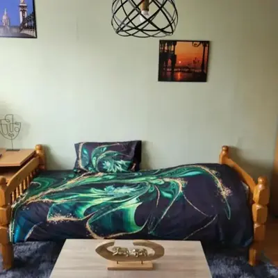 Studio Colmar avec jardin privatif