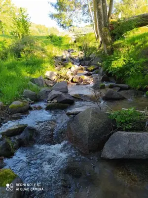 Paysage naturel près de l'appartement