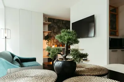 Télévision ou salle de divertissement dans l'établissement La DOLCE Villetta - appartement de Standing