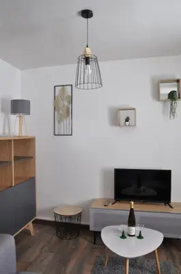 Télévision ou salle de divertissement dans l'établissement Le Studio du Tanneur Selestadien