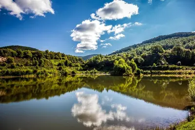 Paysage naturel près de le camping