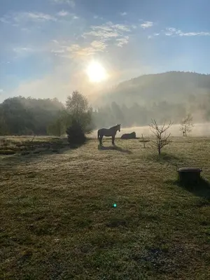 Paysage naturel près de le camping