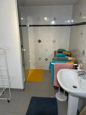 Salle de bains dans l'établissement Le Nid Alsacien - Appartement cosy & lumineux à 10min de Colmar