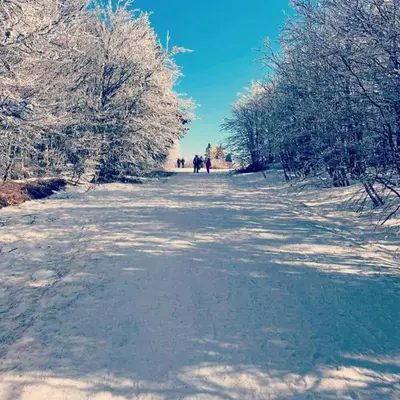 L'établissement Appt 50m2, 4 personnes, ménage, draps et serviettes inclus en hiver