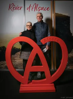 Certificat, récompense, panneau ou autre document affiché dans l'établissement ALSACE Gîte 3étoiles climatisé prox Colmar, Eguisheim, parking, jardin
