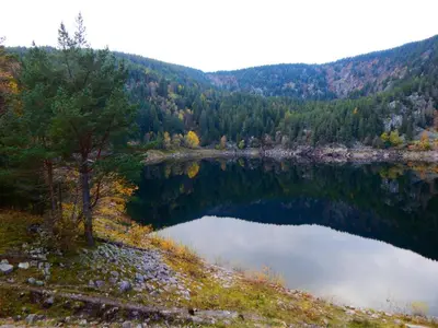 Paysage naturel près de le camping