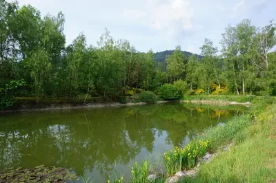 Paysage naturel près de la maison de vacances