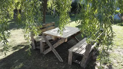 Jardin de l'établissement Vie et Passion