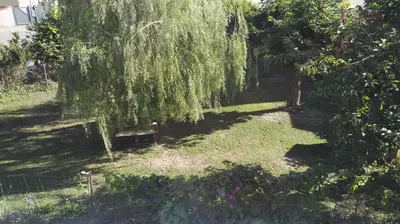 Jardin de l'établissement Vie et Passion