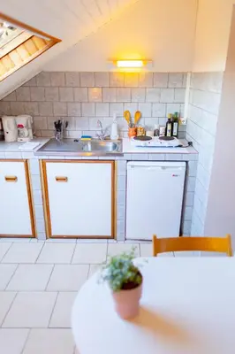 Cuisine ou kitchenette dans l'établissement Studio cocon sous les toits de Jaurès