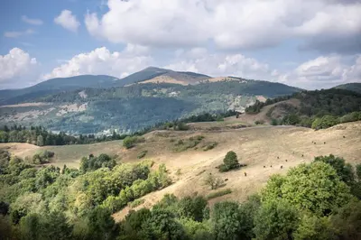 Paysage naturel près de le village vacances
