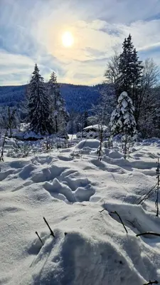 L'établissement Chalet « à l’orée du bois » en hiver
