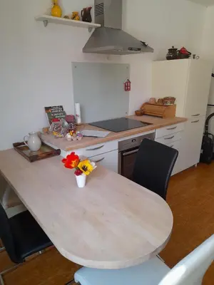 Cuisine ou kitchenette dans l'établissement Apigîte68, proche route des vins, Vosges, Colmar et non loin d'Europa-Park!