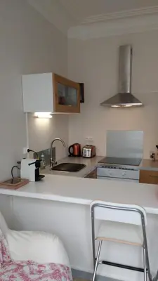 Cuisine ou kitchenette dans l'établissement Appartement Colmar Centre Le 4