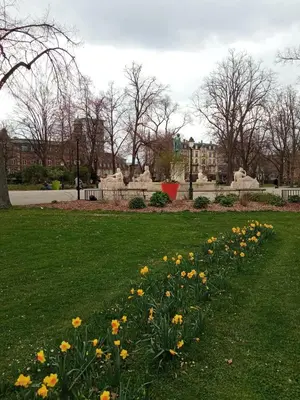 Jardin de l'établissement Rare à Colmar - Appartement Champ de Mars vue sur Parc - 70m2 - 2 chambres