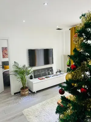 Télévision ou salle de divertissement dans l'établissement Superbe appartement lumineux avec parking gratuit