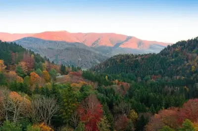 Paysage naturel près de l'appartement