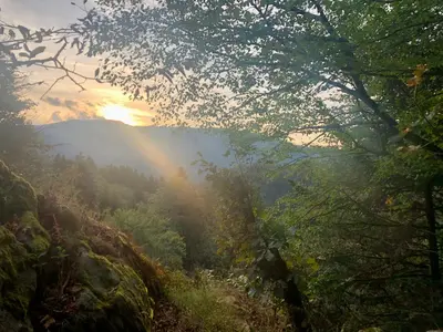 Paysage naturel près de l'appartement