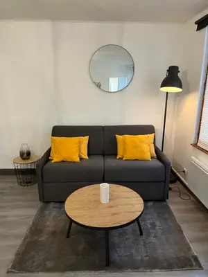 Coin salon dans l'établissement Appartement cosy hyper centre colmar