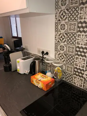 Cuisine ou kitchenette dans l'établissement Appartement cosy hyper centre colmar