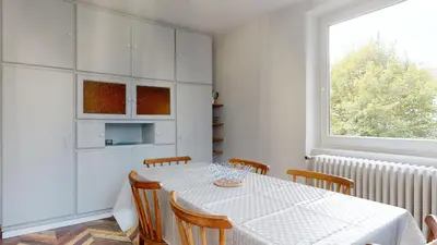 Cuisine ou kitchenette dans l'établissement Appartement Le Passage - Ostheim