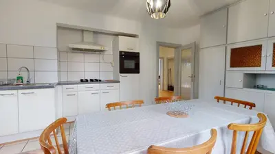 Cuisine ou kitchenette dans l'établissement Appartement Le Passage - Ostheim