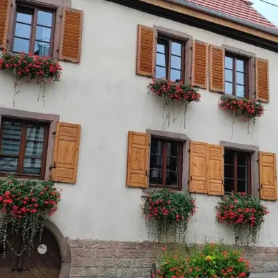 Gîte À l'aigle de sable