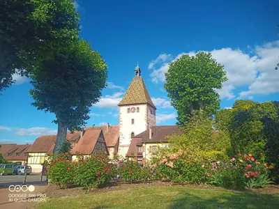 Jardin de l'établissement Bergheim Piscine