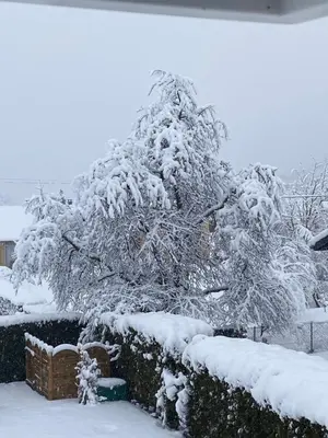 L'établissement Chez Nono en hiver